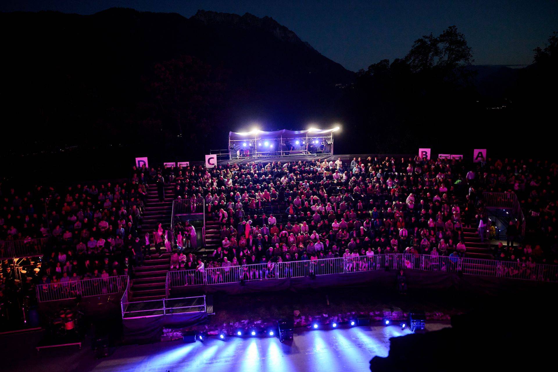 Princely Liechtenstein Tattoo 2024